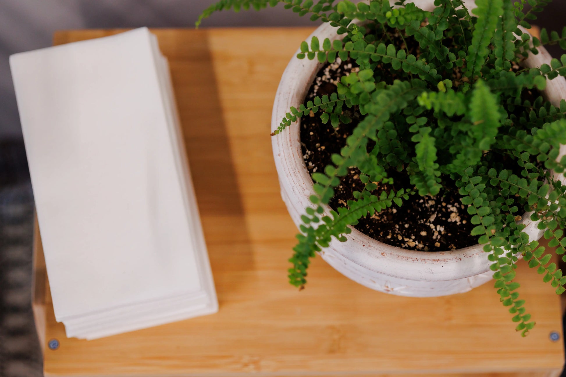 8"x17" 4-Fold White Airlaid Guest Towel 1200ct SKU CP401