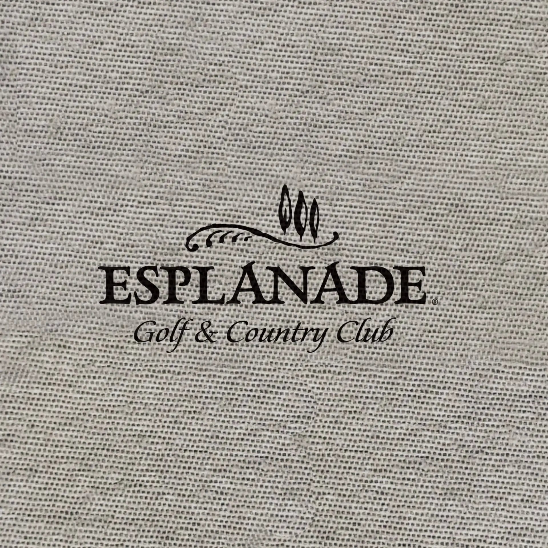 10"x10" 4-Fold Black Tweed DRC Beverage Napkin 600ct SKU CP501